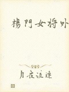 杨门女将外传