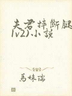 夫君摔断腿后(1v2)小说