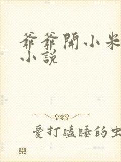 爷爷开小米的包小说