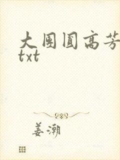 大团圆高芳小说txt