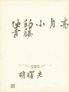 他的小月亮by青藤