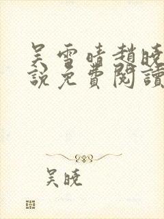 吴雪晴赵晓东小说免费阅读封面