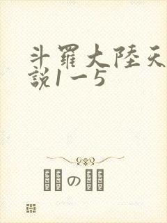 斗罗大陆天狂传说1一5