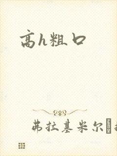 高h粗口