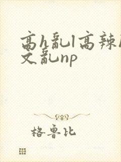 高h乱l高辣h文乱np封面