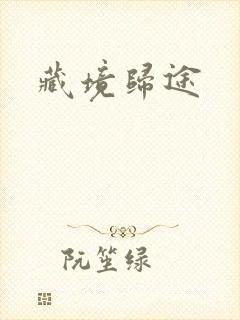 藏境归途封面
