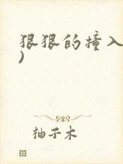 狠狠的撞入(h)