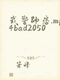 武警帅痞.mp4bad2050封面