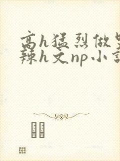 高h猛烈做哭高辣h文np小说