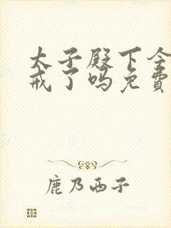 太子殿下今天破戒了吗免费阅读