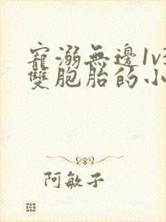 宠溺无边1v3双胞胎的小说