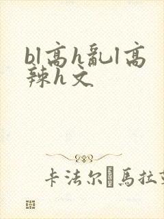 bl高h乱l高辣h文