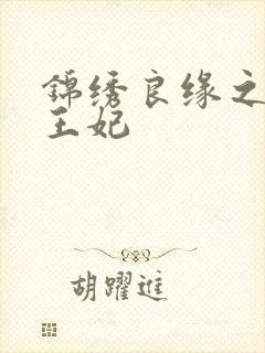 锦绣良缘之北地王妃