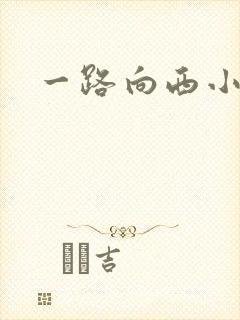 一路向西小说