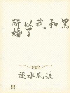 所以我和黑粉结婚了封面