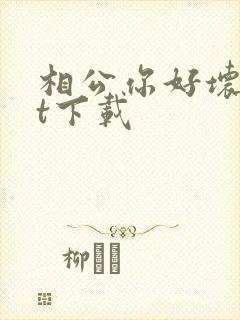 相公你好坏txt下载