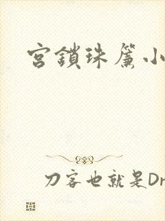 宫锁珠帘小说