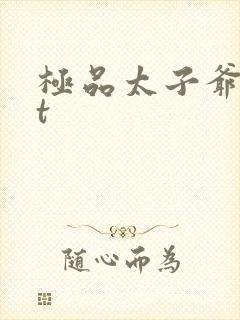 极品太子爷txt