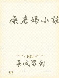 操老妈小说