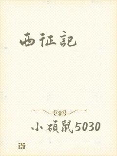 西征记封面