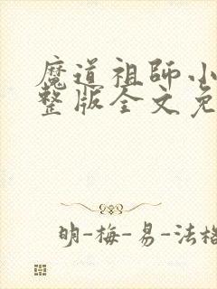 魔道祖师小说完整版全文免费阅读封面