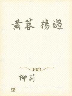 黄蓉 杨过
