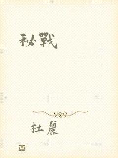 秘战