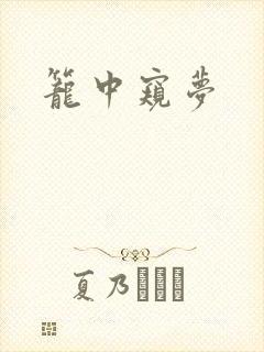 笼中窥梦