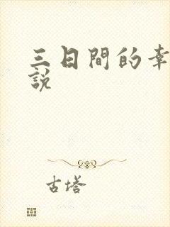 三日间的幸福小说封面