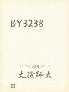 BY3238