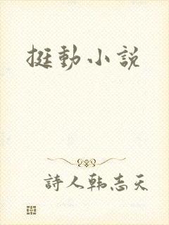 挺动小说