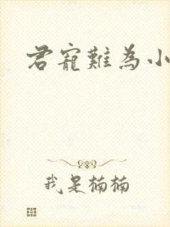 君宠难为小说