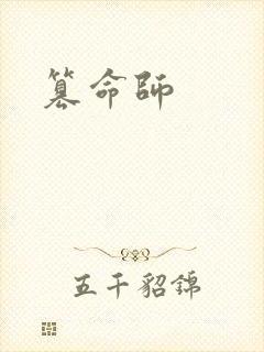 篡命师封面