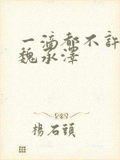 一滴都不许漏 魏承泽封面