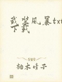 武装风暴txt下载