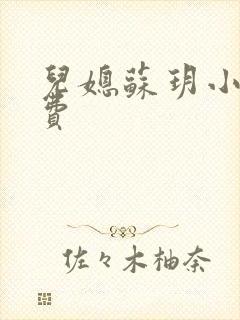 儿媳苏玥小说免费