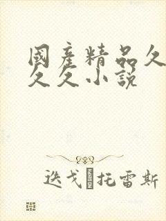国产精品久久久久久小说封面