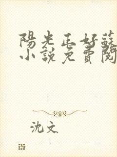 阳光正好苏玥玥小说免费阅读无弹窗