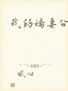 我的娇妻公务员