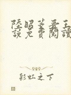 陆昭菱晋王的小说免费阅读封面