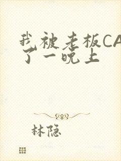 我被老板CAO了一晚上