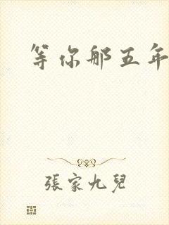 等你那五年