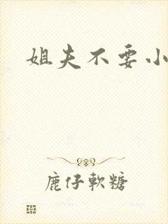 姐夫不要小说