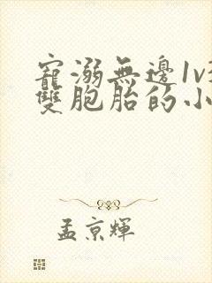 宠溺无边1v3双胞胎的小说