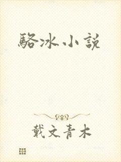 骆冰小说