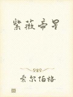 紫薇帝星封面