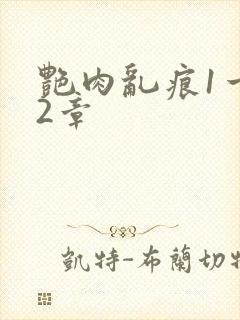 艳肉乱痕1一12章