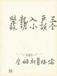双龙入户三人行苏玥小说全文阅读