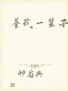 养我一辈子封面