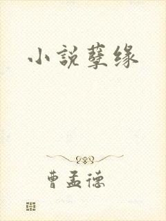 小说孽缘